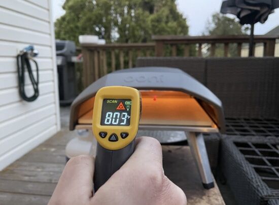 Best Infrared Thermometer For Pizza Oven & For Cooking