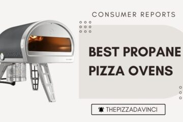 Top 12 Best Propane Pizza Ovens